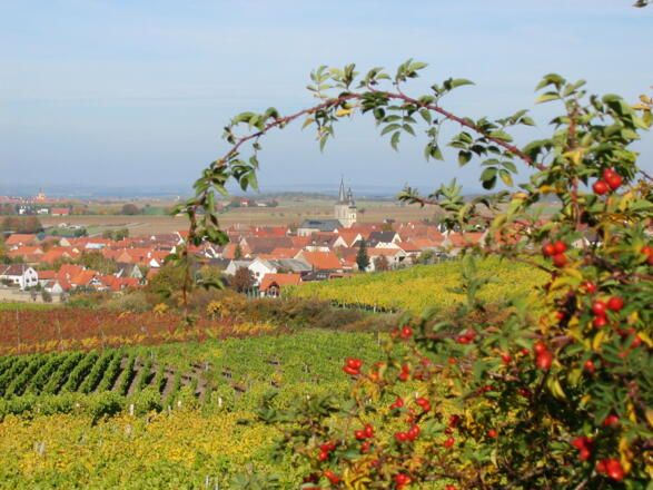 Blick auf Hüttenheim