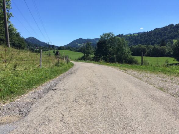 Radweg nach Oberstaufen mit ca. 300 Meter mittel festem Schotter 