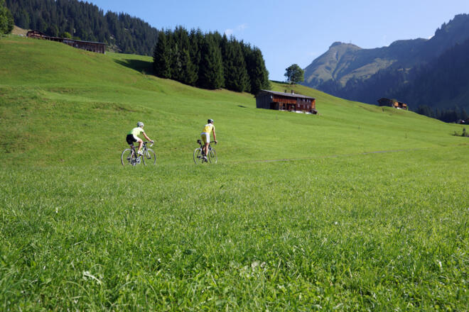 Rennradtouren im Bregenzerwald