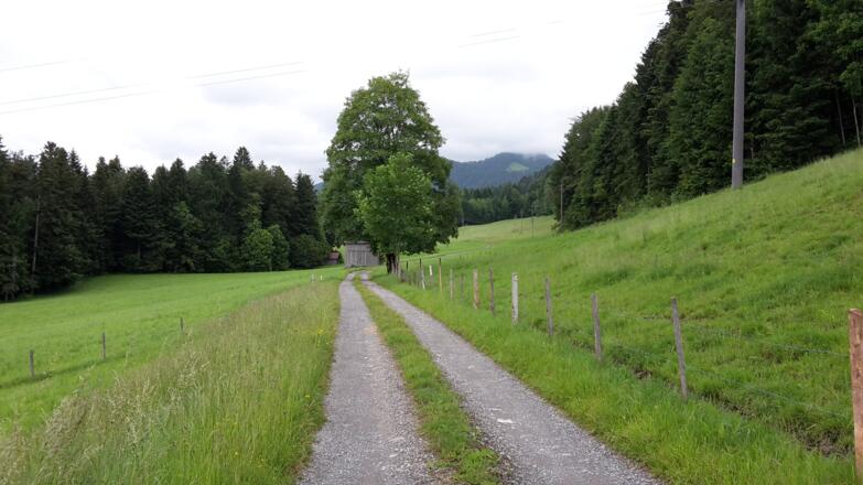 Parzelle Hälisbühl Langenegg