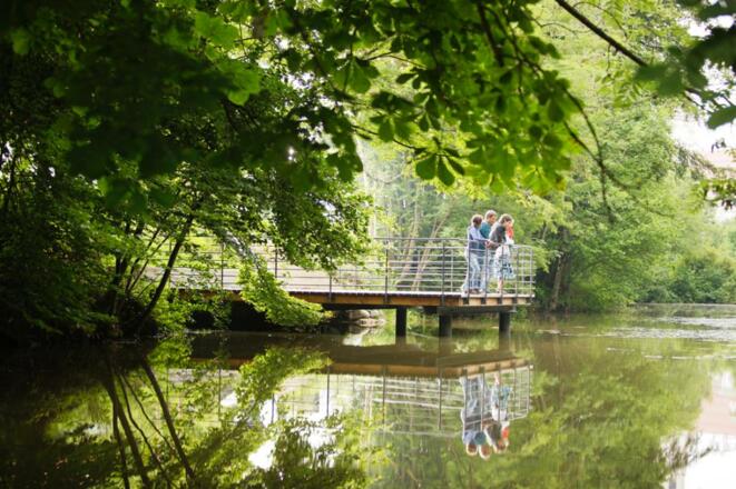 Steg am Ulrichsweiher