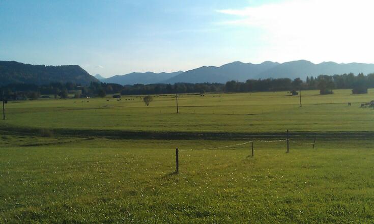 Allgäuer Landschaft