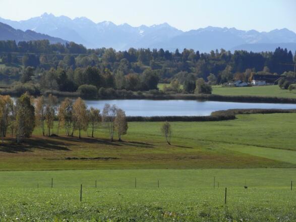 Niedersonthofener See