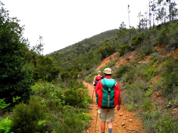 Pilgern - am liebsten single trails