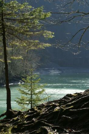 Staufensee in Dornbirn