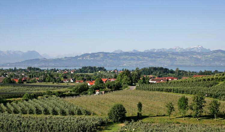 Aussicht Herrmannsberg