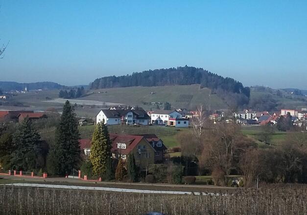Blick vom Hoyerberg auf die Weinberge am Ringoldsberg