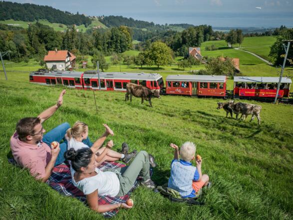 Witzweg, Erlebnisrundfahrt