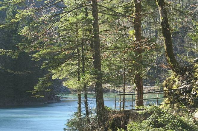 Staufensee in Dornbirn