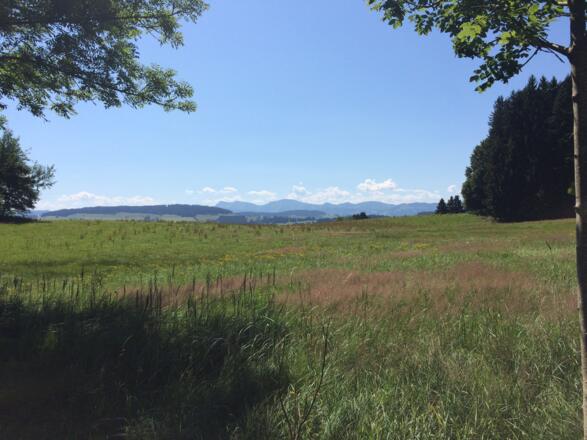 Blick auf den Hausberg Hochgeht