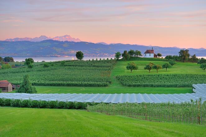 Blick zur Antoniuskapelle
