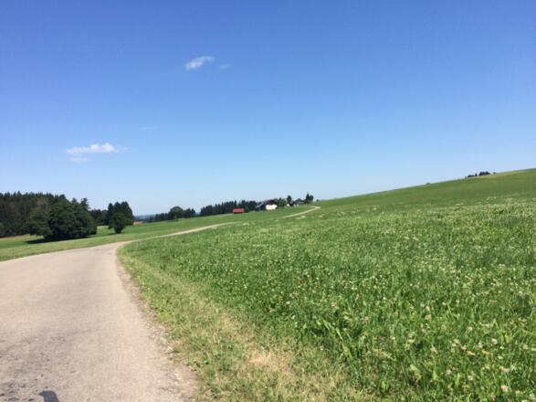 von Brugg nach Isnyberg