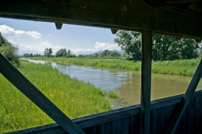Ein Seitenarm des Rheins