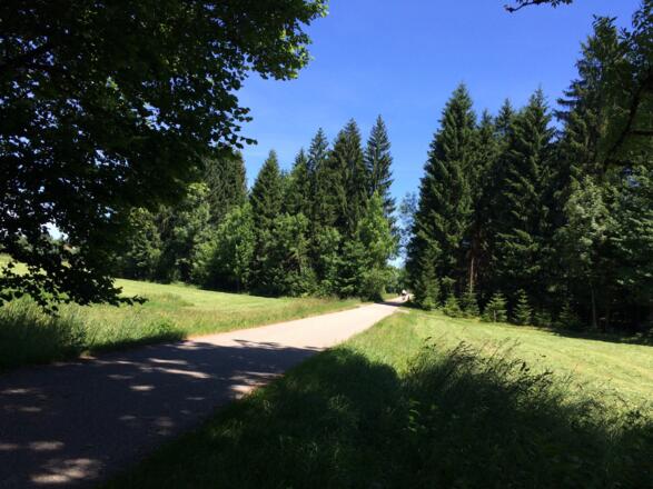 Radweg von Weiler nach Rothenbach