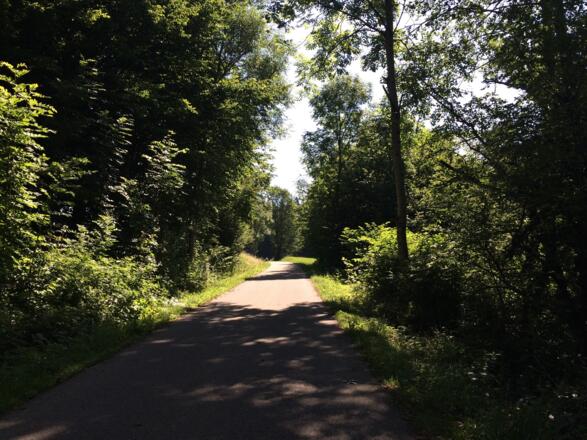 Lindenberg Richtung Riedhirsch