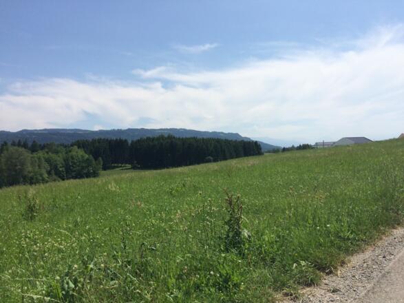 Blick von Hergensweiler