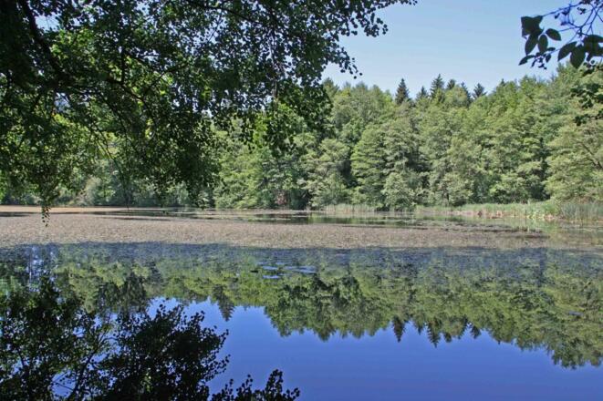 Schlachterner Weiher
