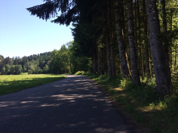 Richtung Oberschmitten