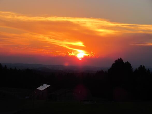 Sonnenuntergang Schweineburg