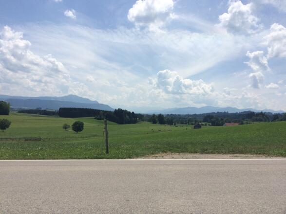 Blick von Buchenberg