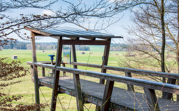Die Aussichtsplattform am Haarmoos