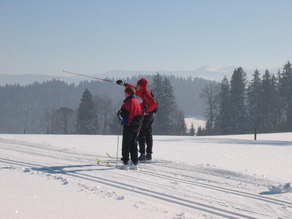 Langlauf in Isny Maierhöfen. Blick ins Voralpenland