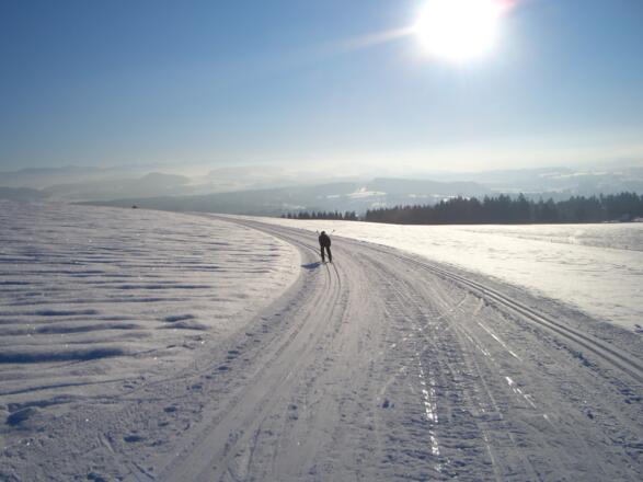 Perfekte Spuren auf der Schweineburgloipe 