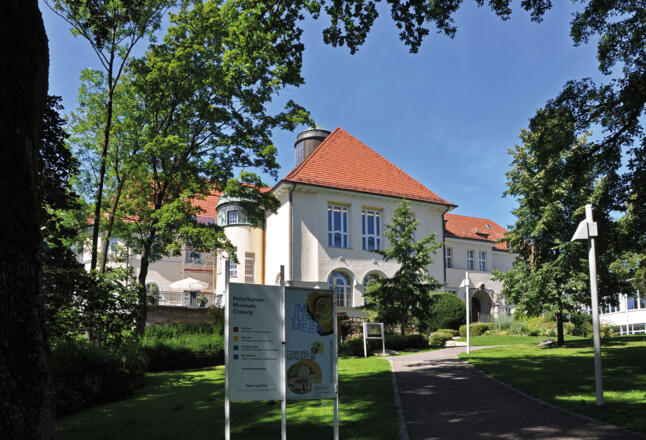 Naturkundemuseum Coburg