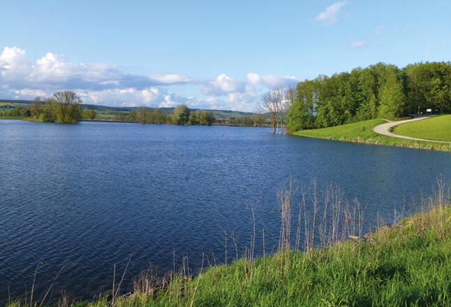 Goldbergsee Coburg im Sommer