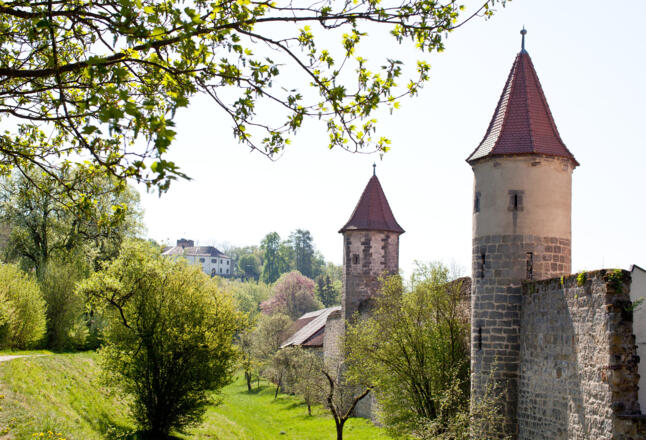 Seßlach | Stadtmauer
