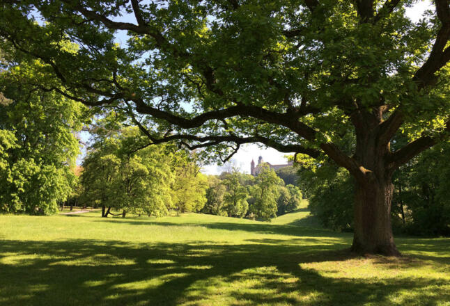 Coburger Hofgarten mit Blick auf die Veste Coburg
