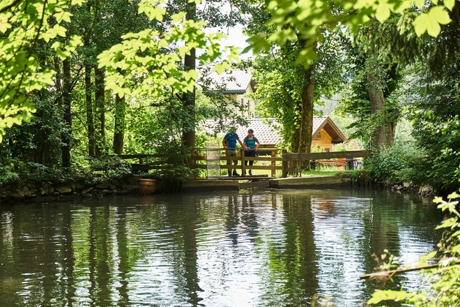 Fischteich an der Kleinrehmühle