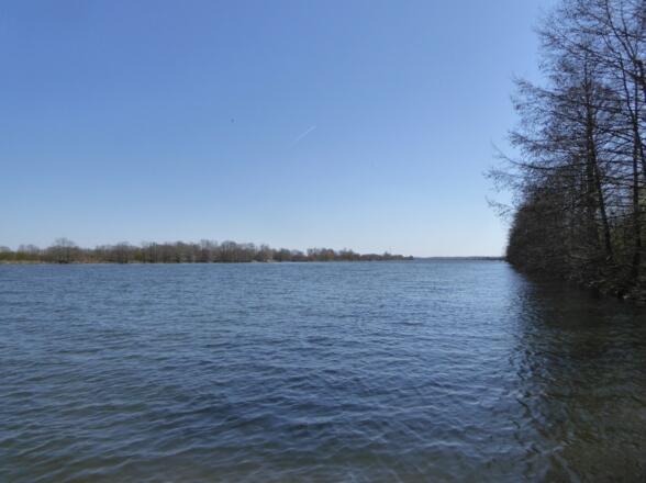 Donau bei Niedermotzing