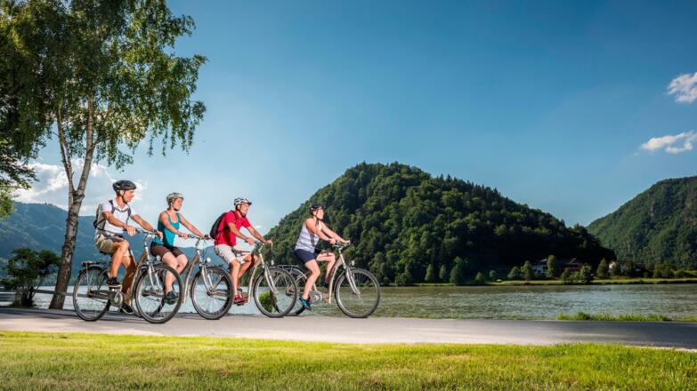 Donauradweg - Schlögener Schlinge