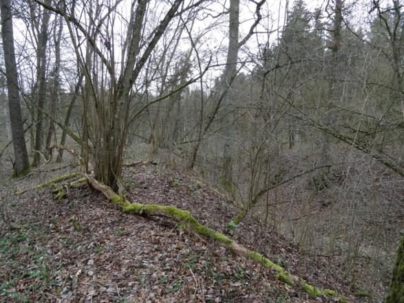 Die Gräben sind noch sichtbar