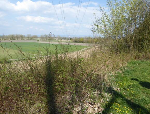 Hochterrassenkante Straubing