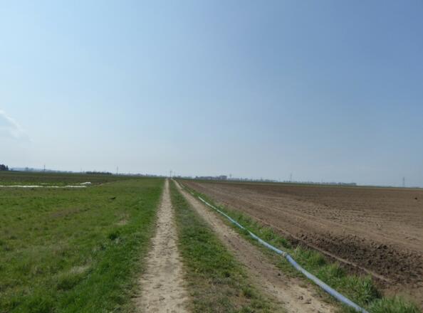 Die Weiten des Gäubodens