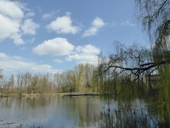 Eisweiher im LAGA Gelände