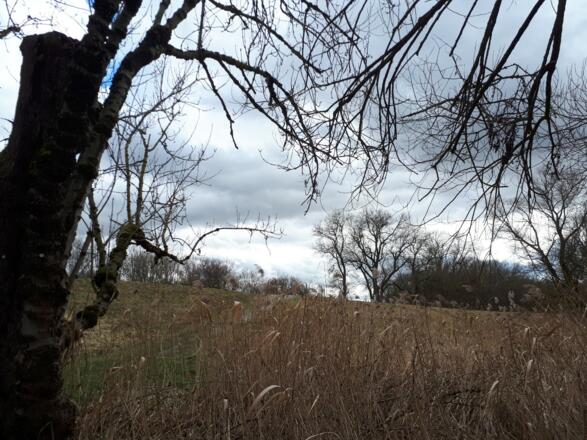 bei der Wundermühle