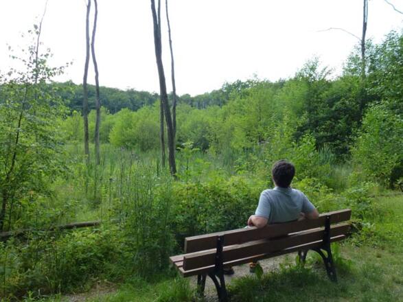 Am Rand des Naturschutzgebietes Blutsee-Moor