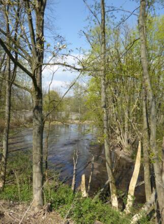 verschwundenes Wasserschloss Einhausen