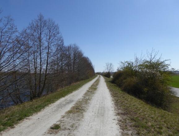 Radlweg am Donaudamm