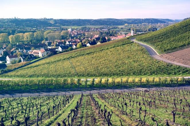 Tourismusregion Fränkisches Weinland