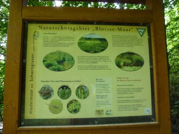Info-Tafel am Blutsee-Moor