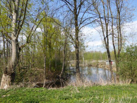 verschwundenes Wasserschloss Einhausen