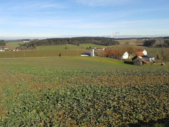 Der Blick von Gütersdorf Richtung Landshut