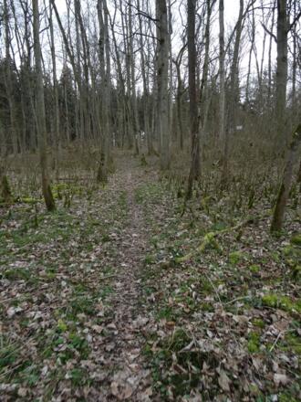 Hier geht es zum Burgstall