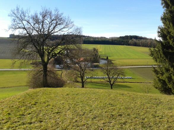 Straßenquerung bei Unterbachham