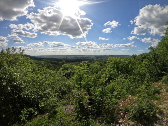 Victor-von-Scheffel-Blick
