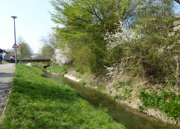 Am Allachbach nach Allburg